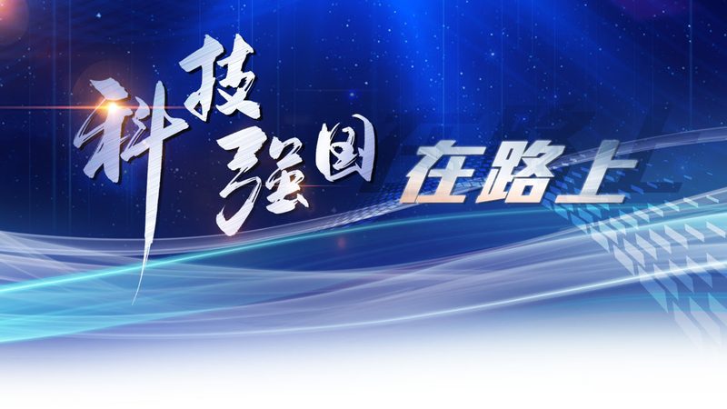 数据湖与数据仓库：结构差异与各自优势